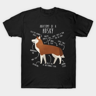 Red Siberian Husky Dog Anatomy T-Shirt